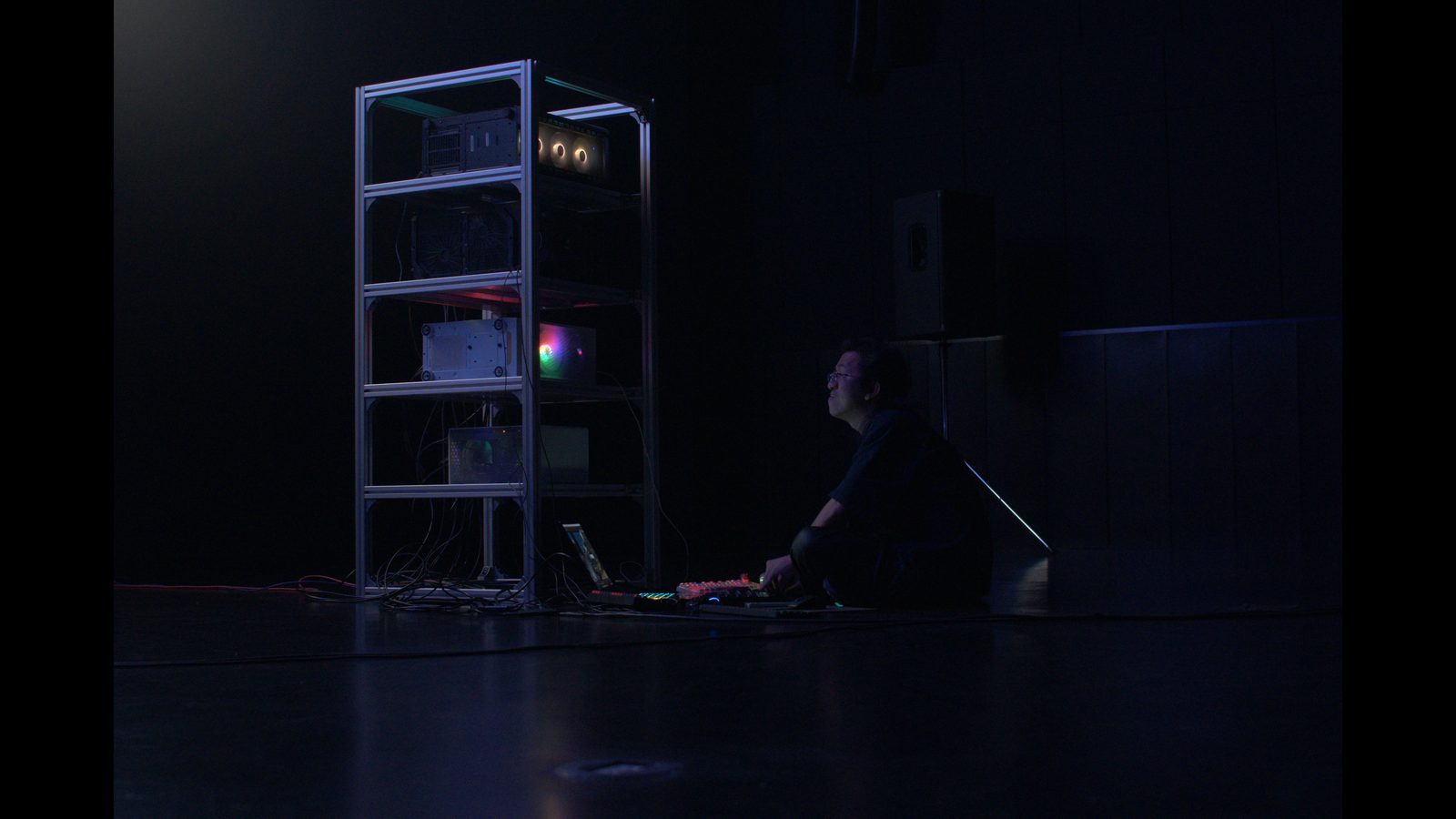 Do The NPCs Hear The Simulated Wind — performance documentation 01
