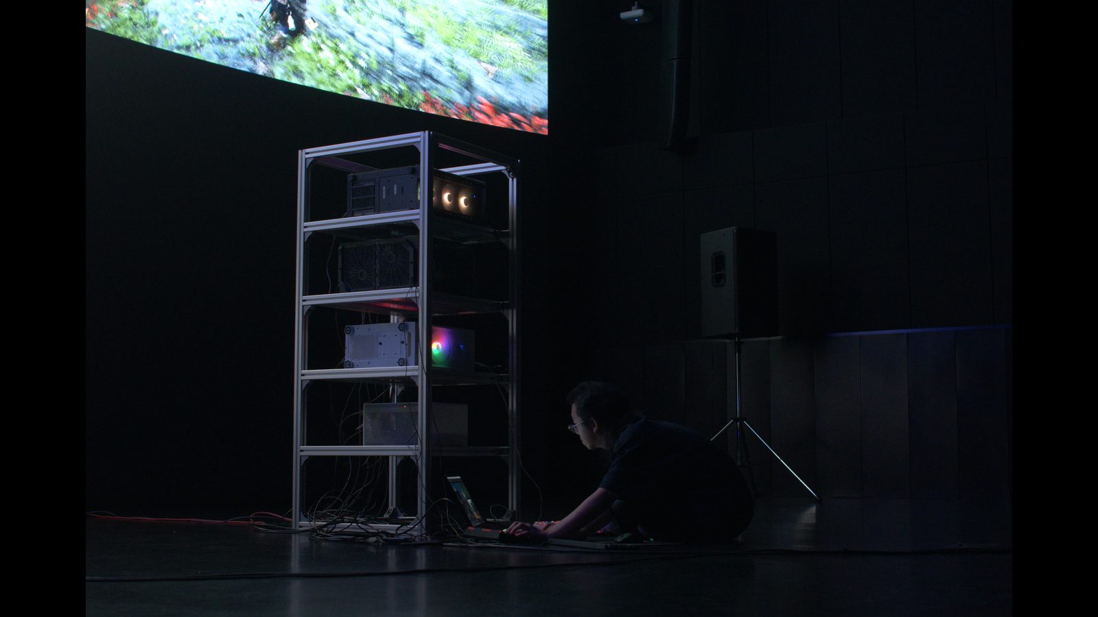 Do The NPCs Hear The Simulated Wind — performance documentation 02