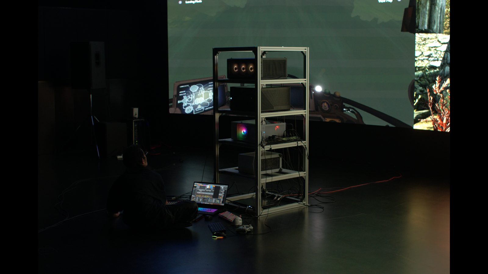 Do The NPCs Hear The Simulated Wind — performance documentation 03