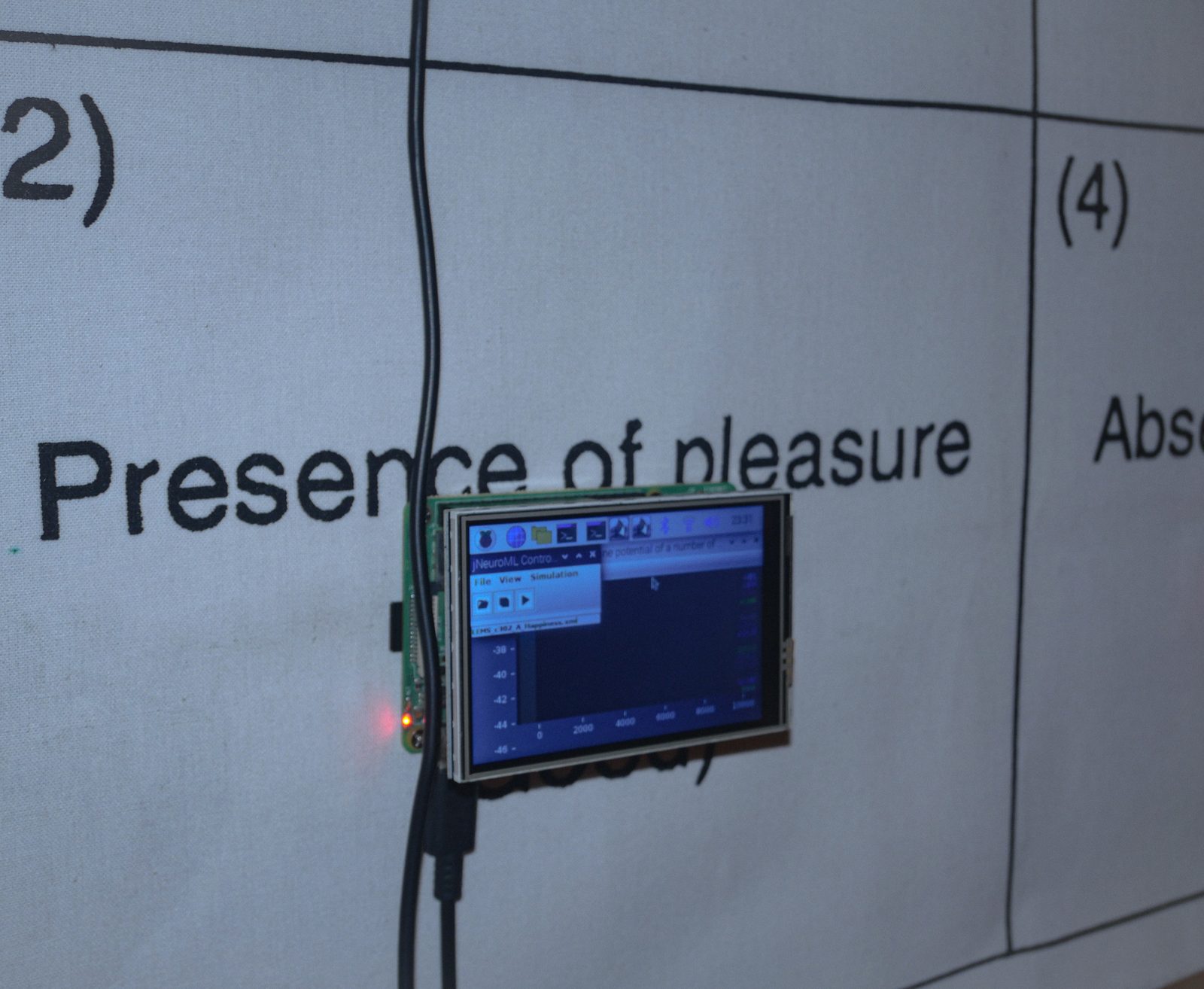 Eternal Gain, Eternal Pain — installation documentation 04